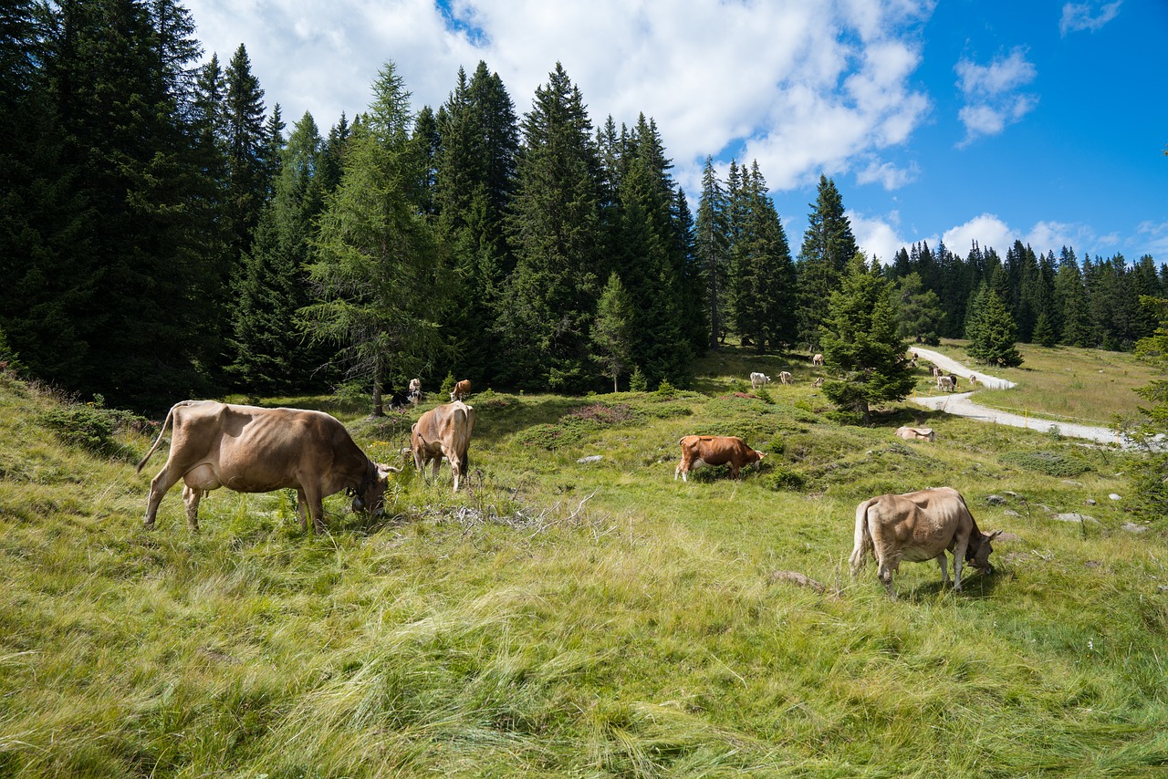 How to Use Wide-Angle Lenses for Stunning Travel Photos